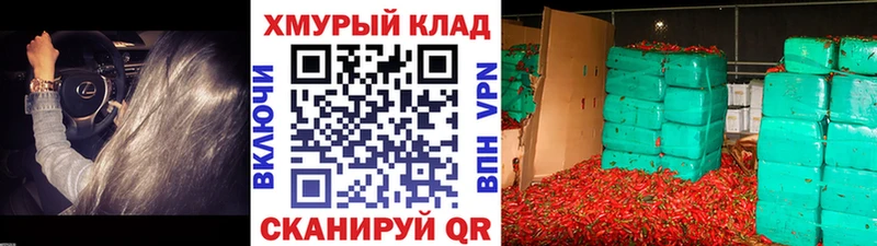 ГЕРОИН хмурый Каргат