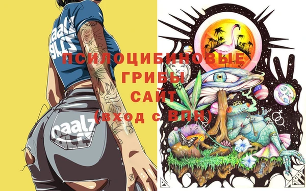 кокаин перу Алагир