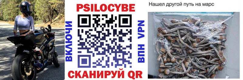 Псилоцибиновые грибы ЛСД  купить наркоту  Каргат 